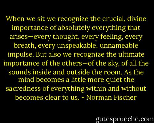 When we sit we recognize the crucial, divine importance of absolutely everything that arises—every thought, every feeling, every breath, every unspeakable, unnameable impulse. But also we recognize the ultimate importance of the others—of the sky, of all the sounds inside and outside the room. As the mind becomes a little more quiet the sacredness of everything within and without becomes clear to us. - Norman Fischer