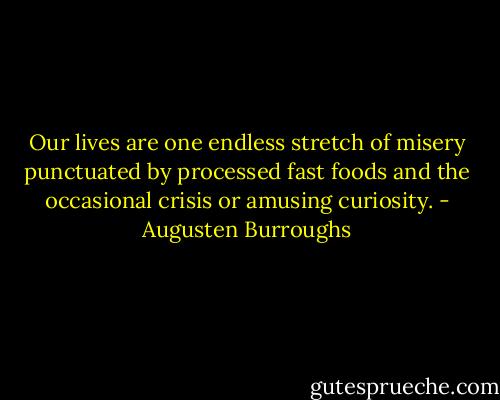Our lives are one endless stretch of misery punctuated by processed fast foods and the occasional crisis or amusing curiosity. - Augusten Burroughs