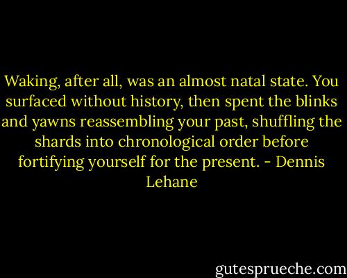 Waking, after all, was an almost natal state. You surfaced without history, then spent the blinks and yawns reassembling your past, shuffling the shards into chronological order before fortifying yourself for the present. - Dennis Lehane