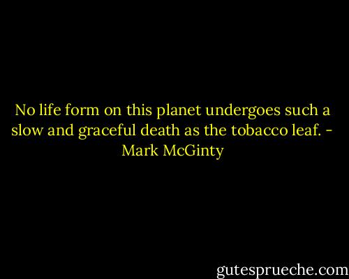 No life form on this planet undergoes such a slow and graceful death as the tobacco leaf. - Mark McGinty