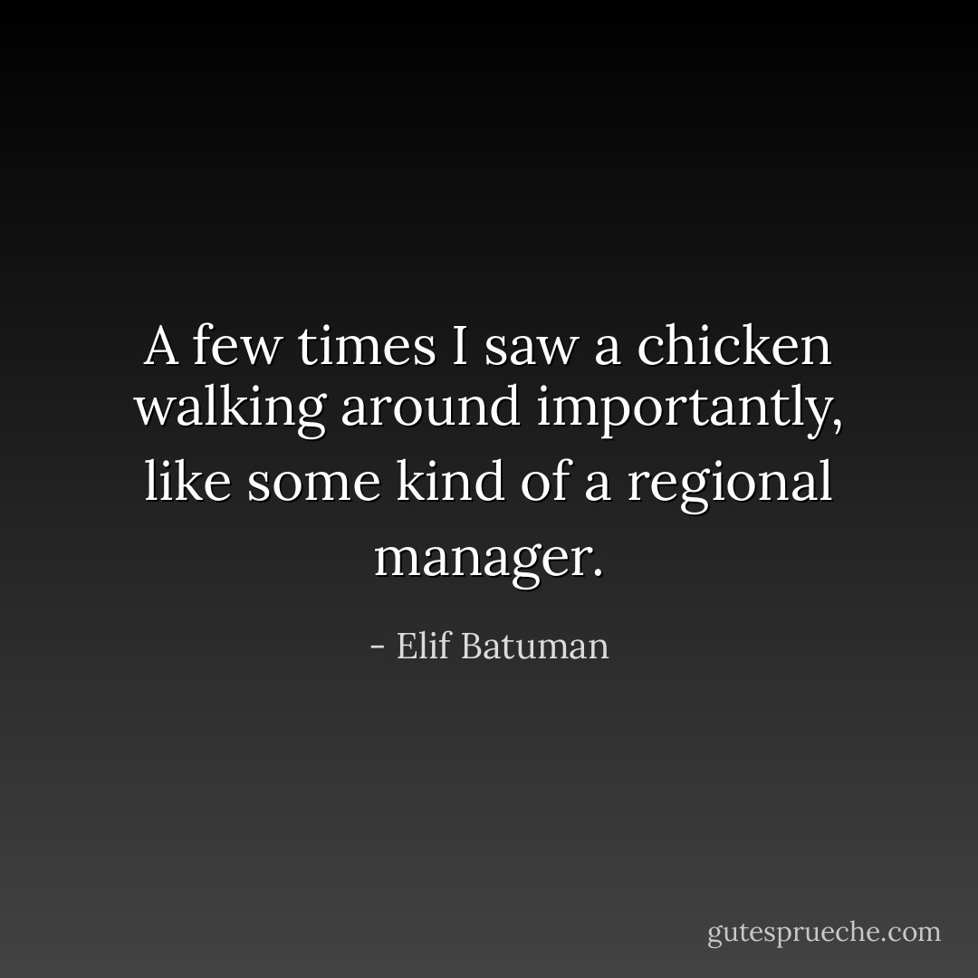 A few times I saw a chicken walking around importantly, like some kind of a regional manager. - Elif Batuman