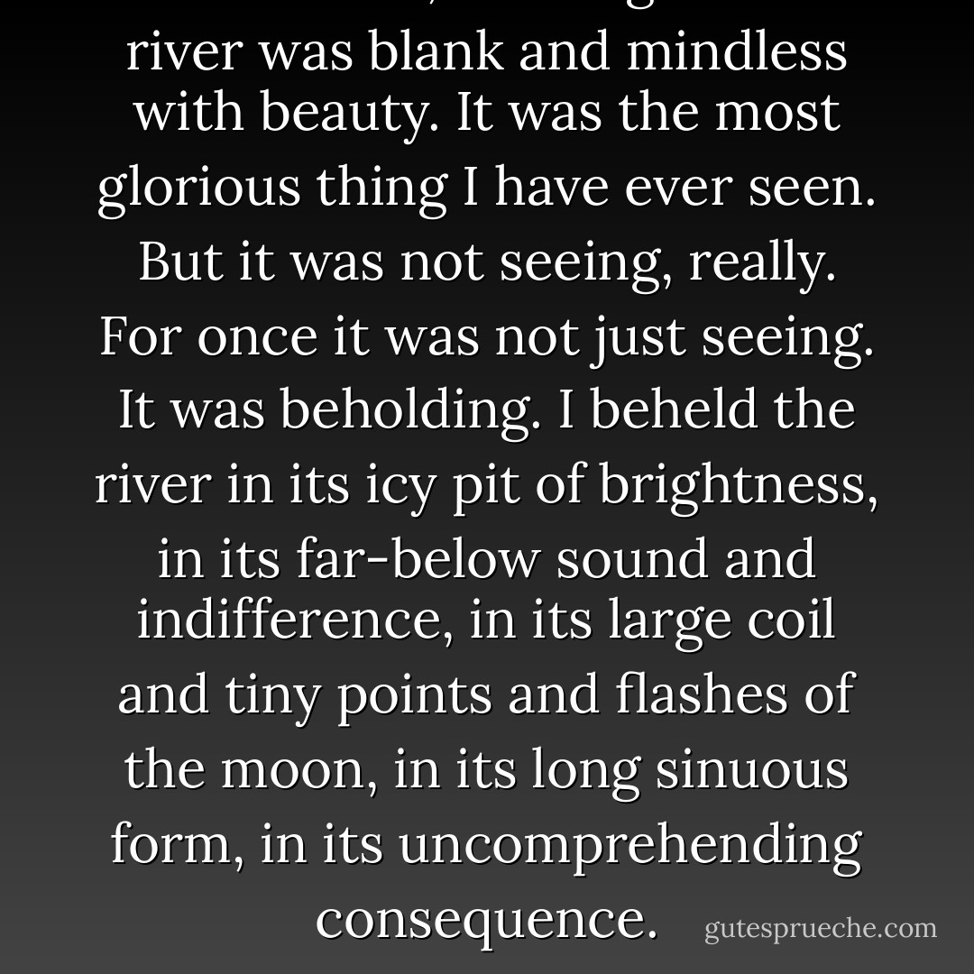 What a view, i said again. The river was blank and mindless with beauty. It was the most glorious thing I have ever seen. But it was not seeing, really. For once it was not just seeing. It was beholding. I beheld the river in its icy pit of brightness, in its far-below sound and indifference, in its large coil and tiny points and flashes of the moon, in its long sinuous form, in its uncomprehending consequence. - James Dickey
