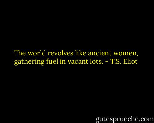 The world revolves like ancient women, gathering fuel in vacant lots. - T.S. Eliot