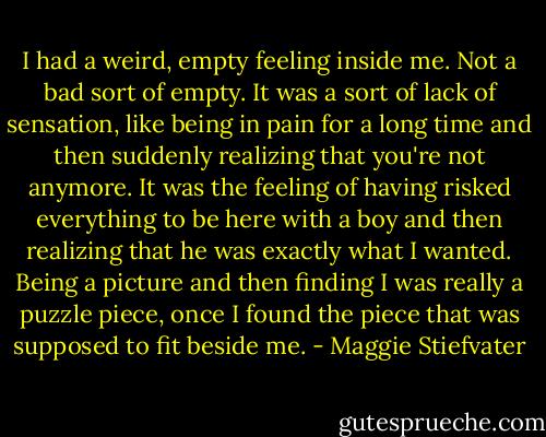 I had a weird, empty feeling inside me. Not a bad sort of empty. It was a sort of lack of sensation, like being in pain for a long time and then suddenly realizing that you're not anymore. It was the feeling of having risked everything to be here with a boy and then realizing that he was exactly what I wanted. Being a picture and then finding I was really a puzzle piece, once I found the piece that was supposed to fit beside me. - Maggie Stiefvater