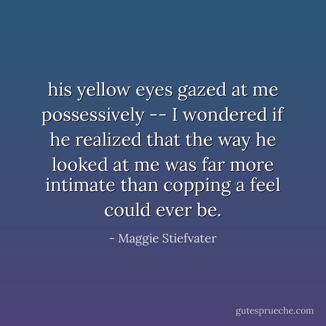 his yellow eyes gazed at me possessively -- I wondered if he realized that the way he looked at me was far more intimate than copping a feel could ever be. - Maggie Stiefvater