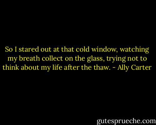 So I stared out at that cold window, watching my breath collect on the glass, trying not to think about my life after the thaw. - Ally Carter