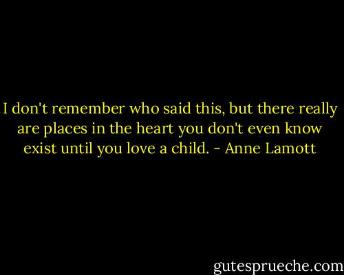 I don't remember who said this, but there really are places in the heart you don't even know exist until you love a child. - Anne Lamott