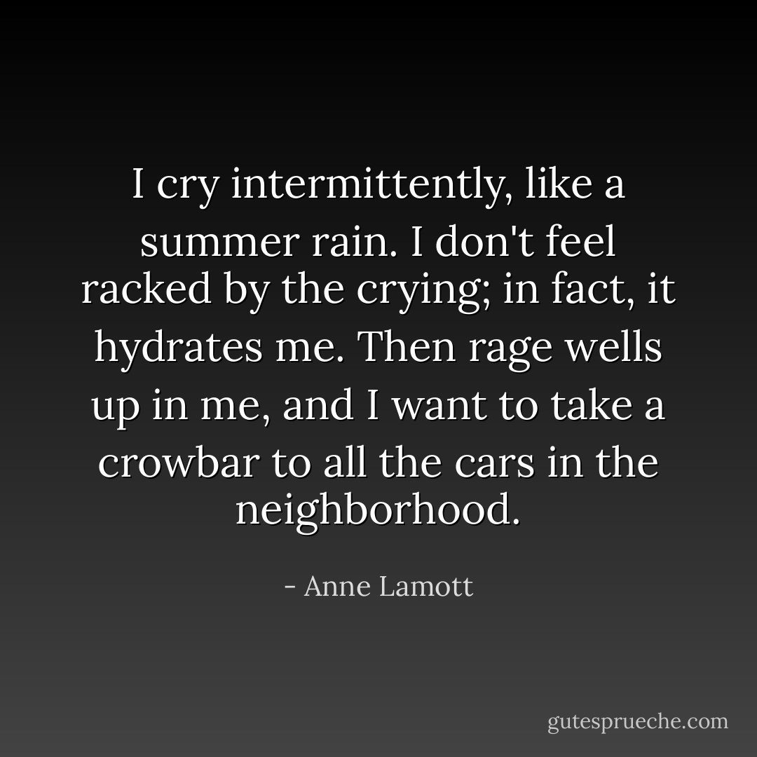I cry intermittently, like a summer rain. I don't feel racked by the crying; in fact, it hydrates me. Then rage wells up in me, and I want to take a crowbar to all the cars in the neighborhood. - Anne Lamott