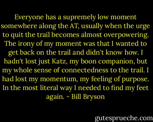 Everyone has a supremely low moment somewhere along the AT, usually when the urge to quit the trail becomes almost overpowering. The irony of my moment was that I wanted to get back on the trail and didn't know how. I hadn't lost just Katz, my boon companion, but my whole sense of connectedness to the trail. I had lost my momentum, my feeling of purpose. In the most literal way I needed to find my feet again. - Bill Bryson