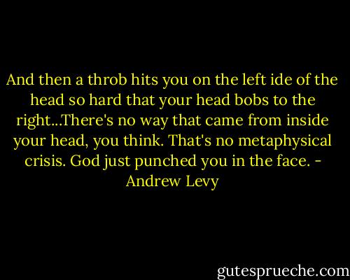 And then a throb hits you on the left ide of the head so hard that your head bobs to the right...There's no way that came from inside your head, you think. That's no metaphysical crisis. God just punched you in the face. - Andrew Levy