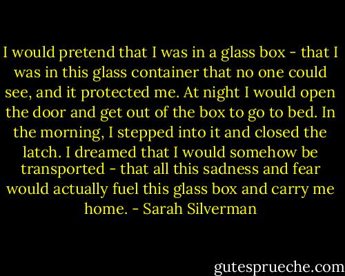 I would pretend that I was in a glass box - that I was in this glass container that no one could see, and it protected me. At night I would open the door and get out of the box to go to bed. In the morning, I stepped into it and closed the latch. I dreamed that I would somehow be transported - that all this sadness and fear would actually fuel this glass box and carry me home. - Sarah Silverman