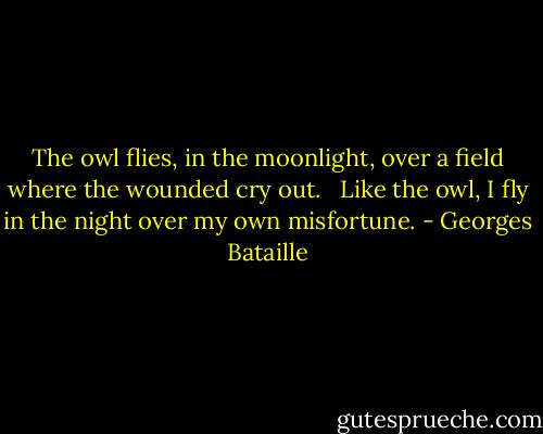 The owl flies, in the moonlight, over a field where the wounded cry out. <br /><br />Like the owl, I fly in the night over my own misfortune. - Georges Bataille