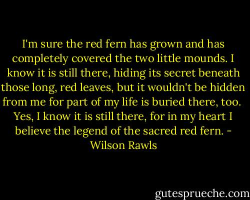 I'm sure the red fern has grown and has completely covered the two little mounds. I know it is still there, hiding its secret beneath those long, red leaves, but it wouldn't be hidden from me for part of my life is buried there, too.<br /><br />Yes, I know it is still there, for in my heart I believe the legend of the sacred red fern. - Wilson Rawls
