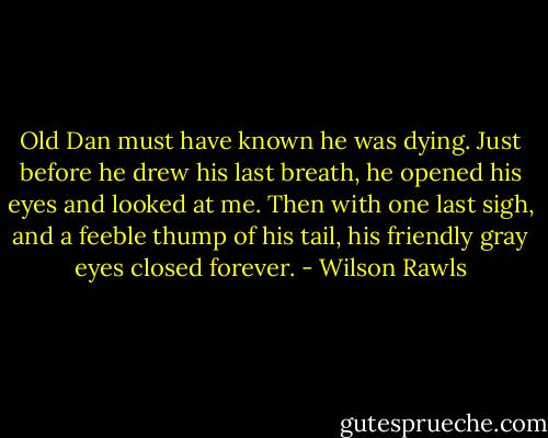 Old Dan must have known he was dying. Just before he drew his last breath, he opened his eyes and looked at me. Then with one last sigh, and a feeble thump of his tail, his friendly gray eyes closed forever. - Wilson Rawls