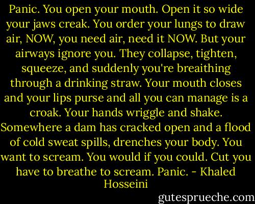 Panic. You open your mouth. Open it so wide your jaws creak. You order your lungs to draw air, NOW, you need air, need it NOW. But your airways ignore you. They collapse, tighten, squeeze, and suddenly you're breaithing through a drinking straw. Your mouth closes and your lips purse and all you can manage is a croak. Your hands wriggle and shake. Somewhere a dam has cracked open and a flood of cold sweat spills, drenches your body. You want to scream. You would if you could. Cut you have to breathe to scream. Panic. - Khaled Hosseini