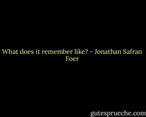 What does it remember like? - Jonathan Safran Foer