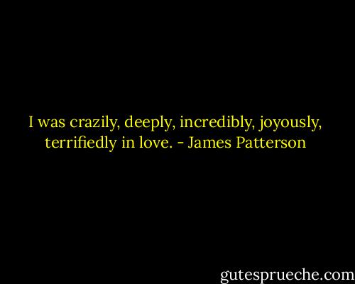 I was crazily, deeply, incredibly, joyously, terrifiedly in love. - James Patterson