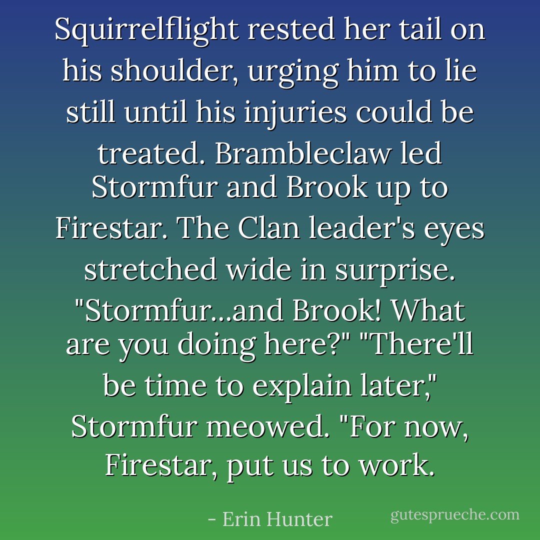 Squirrelflight rested her tail on his shoulder, urging him to lie still until his injuries could be treated. Brambleclaw led Stormfur and Brook up to Firestar.<br />The Clan leader's eyes stretched wide in surprise. "Stormfur...and Brook! What are you doing here?"<br />"There'll be time to explain later," Stormfur meowed. "For now, Firestar, put us to work. - Erin Hunter