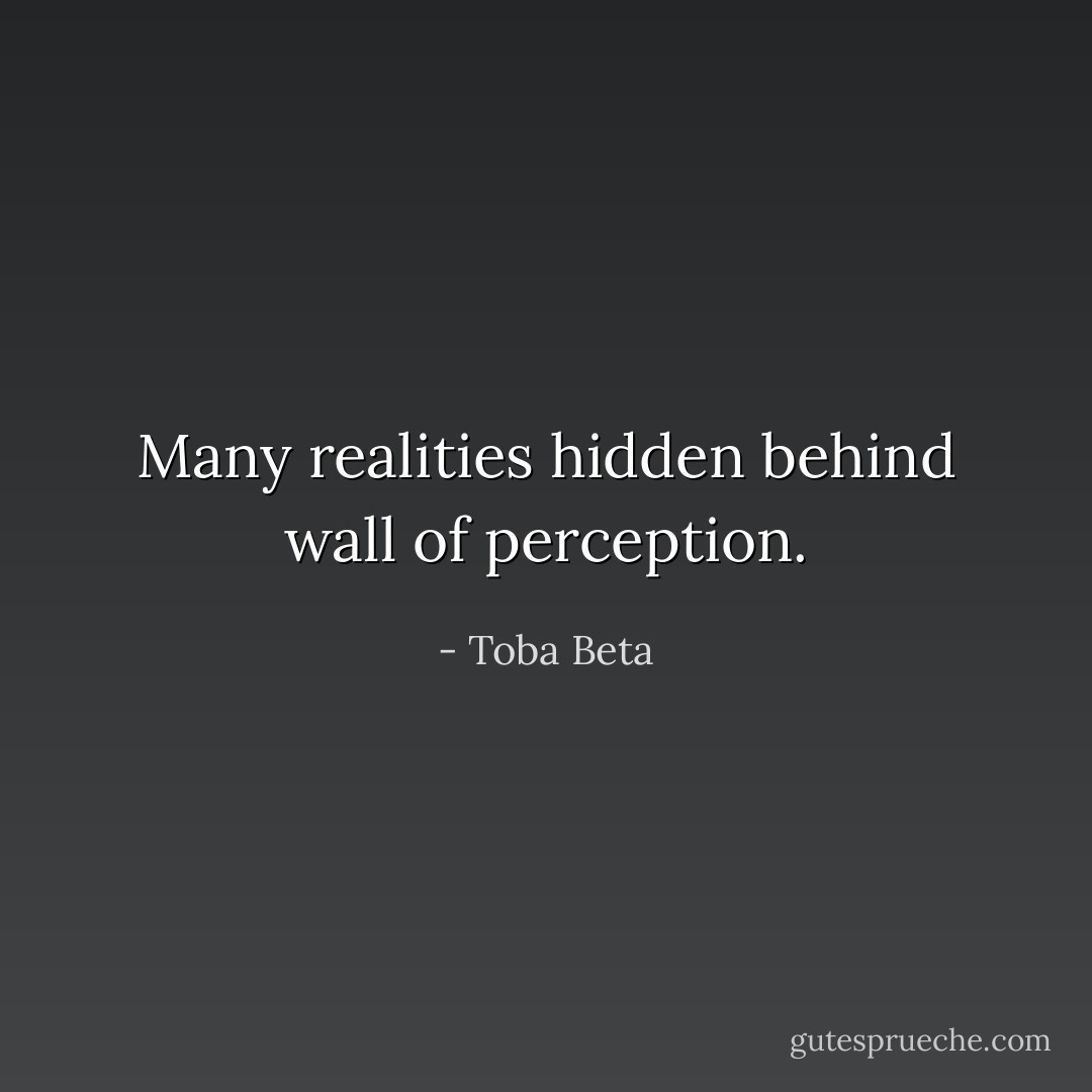 Many realities hidden behind wall of perception. - Toba Beta