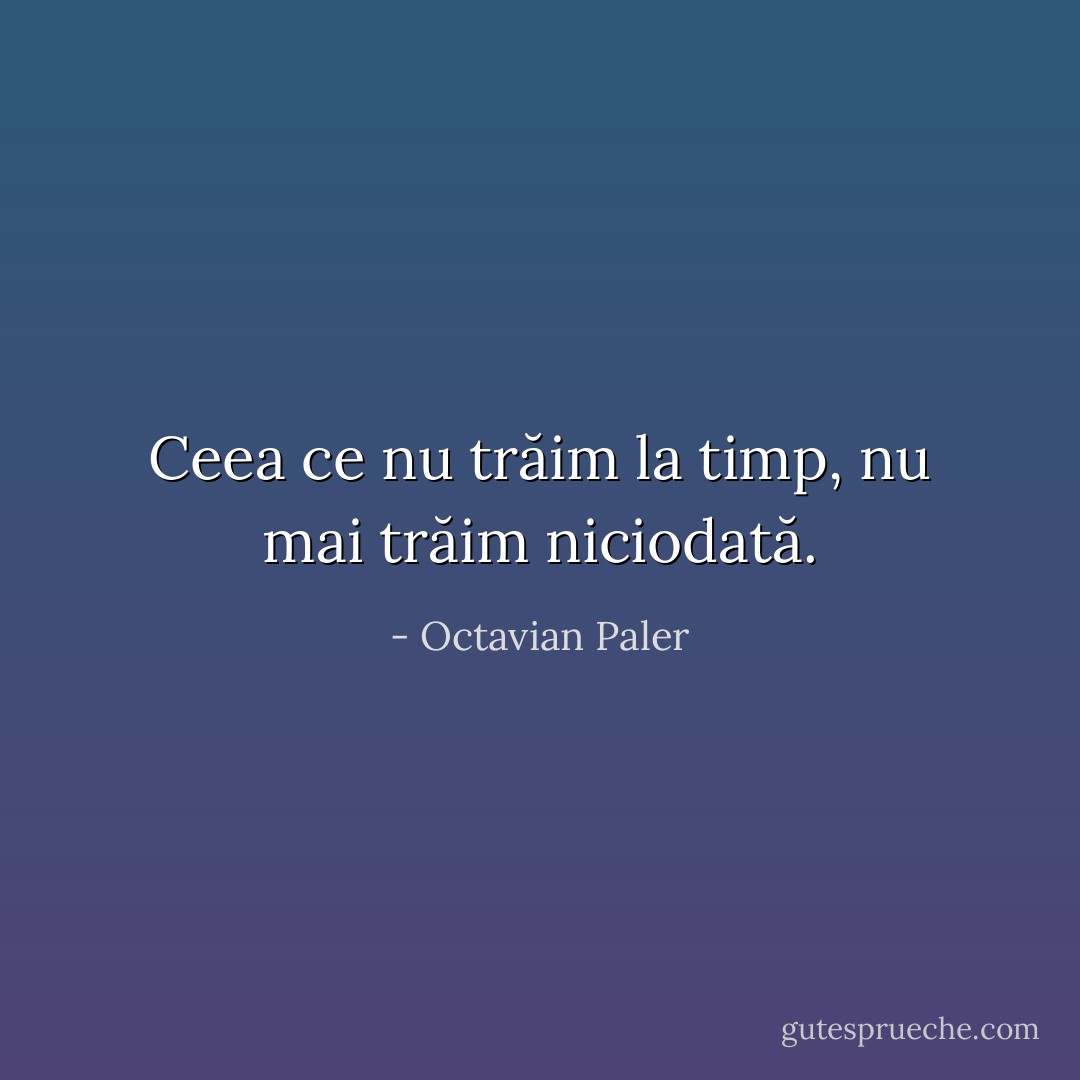 Ceea ce nu trăim la timp, nu mai trăim niciodată. - Octavian Paler