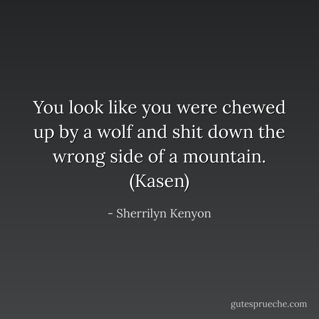 You look like you were chewed up by a wolf and shit down the wrong side of a mountain. (Kasen) - Sherrilyn Kenyon