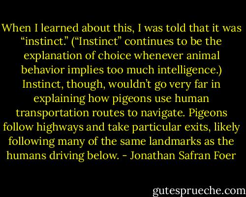 When I learned about this, I was told that it was “instinct.” (“Instinct” continues to be the explanation of choice whenever animal behavior implies too much intelligence.) Instinct, though, wouldn’t go very far in explaining how pigeons use human transportation routes to navigate. Pigeons follow highways and take particular exits, likely following many of the same landmarks as the humans driving below. - Jonathan Safran Foer