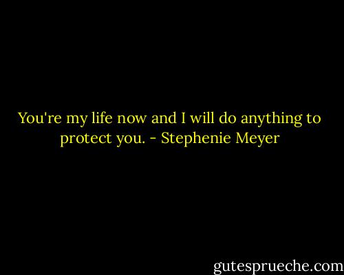 You're my life now and I will do anything to protect you. - Stephenie Meyer