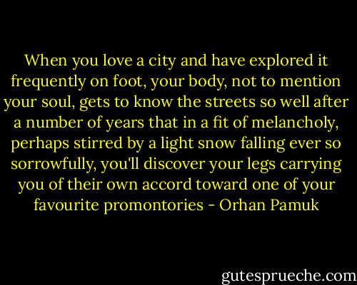 When you love a city and have explored it frequently on foot, your body, not to mention your soul, gets to know the streets so well after a number of years that in a fit of melancholy, perhaps stirred by a light snow falling ever so sorrowfully, you'll discover your legs carrying you of their own accord toward one of your favourite promontories - Orhan Pamuk
