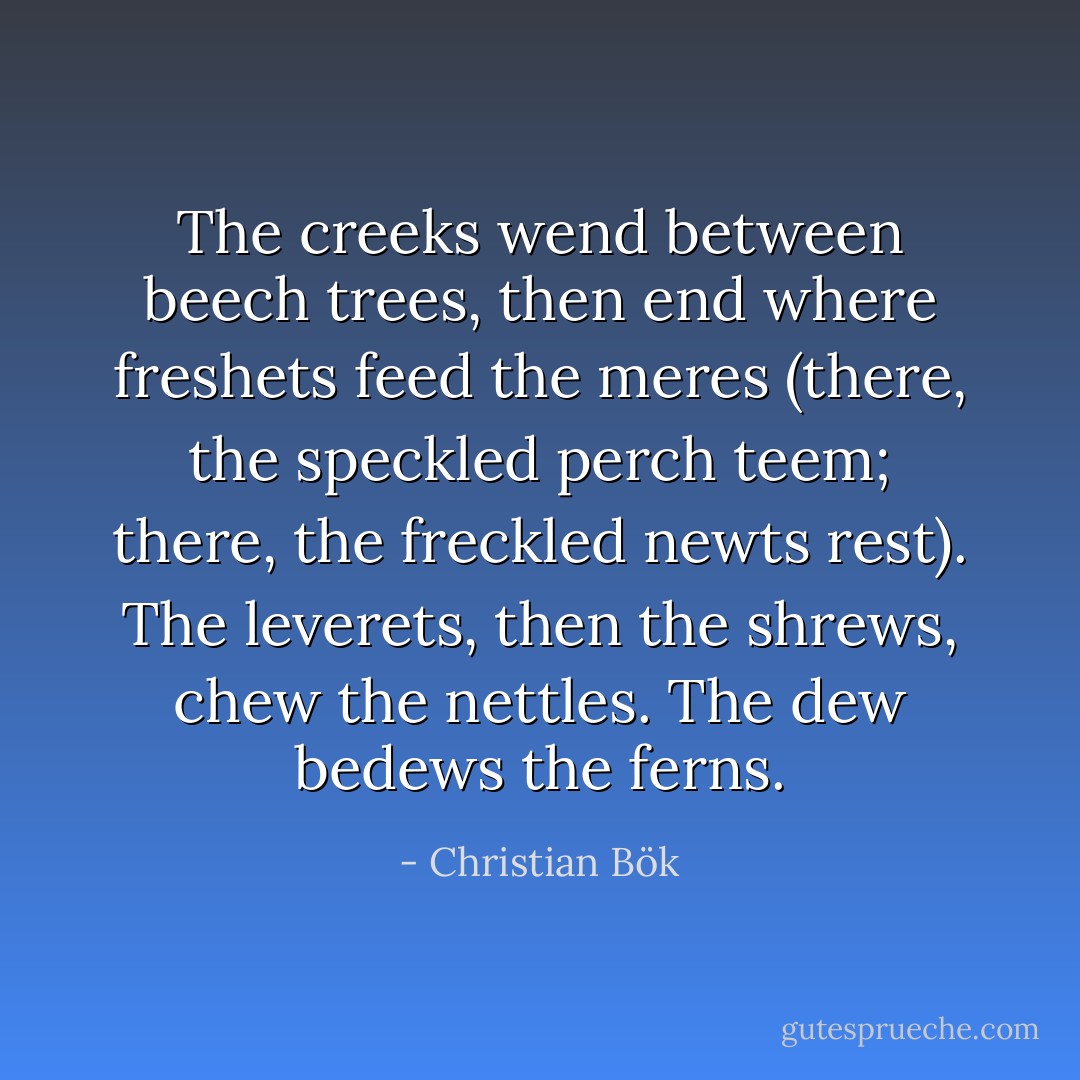 The creeks wend between beech trees, then end where freshets feed the meres (there, the speckled perch teem; there, the freckled newts rest). The leverets, then the shrews, chew the nettles. The dew bedews the ferns. - Christian Bök