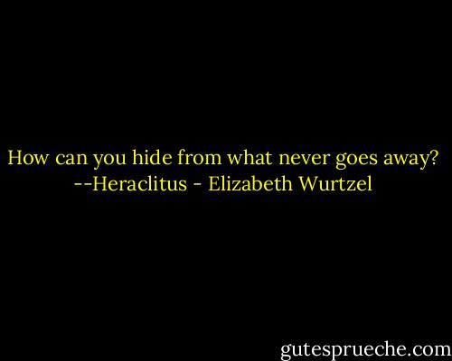How can you hide from what never goes away? --Heraclitus - Elizabeth Wurtzel
