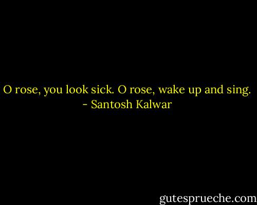 O rose, you look sick.<br />O rose, wake up and sing. - Santosh Kalwar