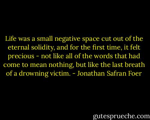 Life was a small negative space cut out of the eternal solidity, and for the first time, it felt precious - not like all of the words that had come to mean nothing, but like the last breath of a drowning victim. - Jonathan Safran Foer