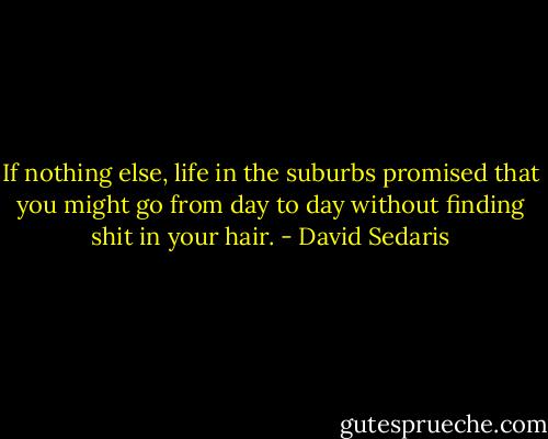 If nothing else, life in the suburbs promised that you might go from day to day without finding shit in your hair. - David Sedaris