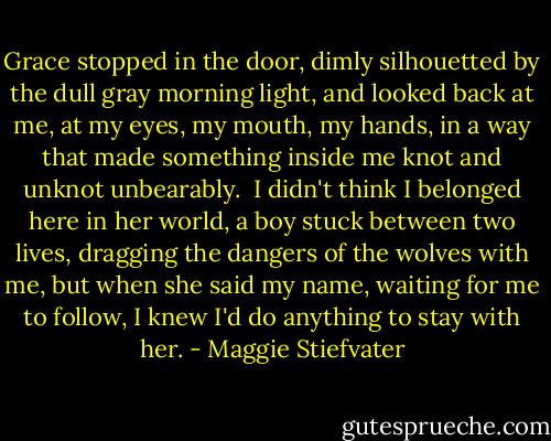 Grace stopped in the door, dimly silhouetted by the dull gray morning light, and looked back at me, at my eyes, my mouth, my hands, in a way that made something inside me knot and unknot unbearably.<br /><br />I didn't think I belonged here in her world, a boy stuck between two lives, dragging the dangers of the wolves with me, but when she said my name, waiting for me to follow, I knew I'd do anything to stay with her. - Maggie Stiefvater