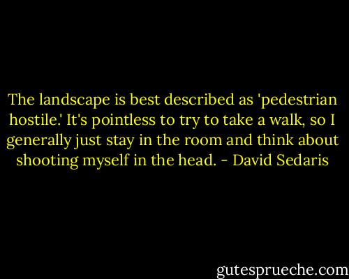 The landscape is best described as 'pedestrian hostile.' It's pointless to try to take a walk, so I generally just stay in the room and think about shooting myself in the head. - David Sedaris