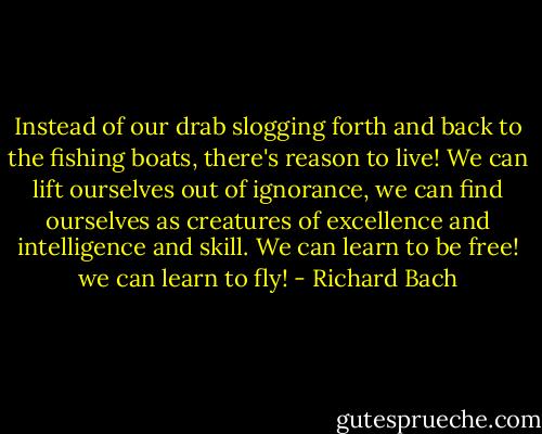 Instead of our drab slogging forth and back to the fishing boats, there's reason to live!<br />We can lift ourselves out of ignorance, we can find ourselves as creatures of excellence and intelligence and skill. We can learn to be free! we can learn to fly! - Richard Bach