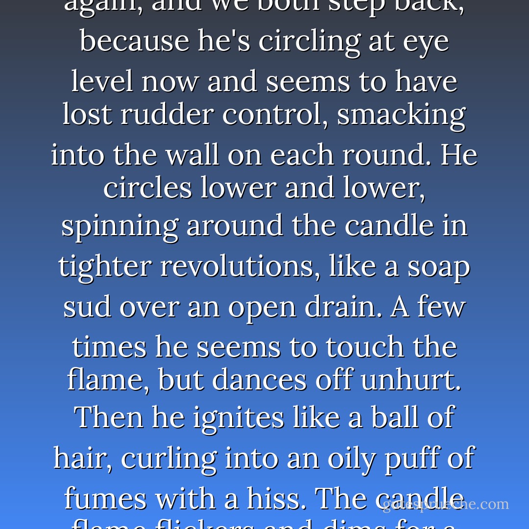 The poets say some moths will do anything out of love for a flame<br />[...]<br />The moth takes off again, and we both step back, because he's circling at eye level now and seems to have lost rudder control, smacking into the wall on each round. He circles lower and lower, spinning around the candle in tighter revolutions, like a soap sud over an open drain. A few times he seems to touch the flame, but dances off unhurt.<br />Then he ignites like a ball of hair, curling into an oily puff of fumes with a hiss. The candle flame flickers and dims for a moment, then burns as bright as before.<br />Moth Smoke Lingers. - Mohsin Hamid