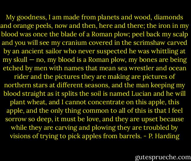 My goodness, I am made from planets and wood, diamonds and orange peels, now and then, here and there; the iron in my blood was once the blade of a Roman plow; peel back my scalp and you will see my cranium covered in the scrimshaw carved by an ancient sailor who never suspected he was whittling at my skull — no, my blood is a Roman plow, my bones are being etched by men with names that mean sea wrestler and ocean rider and the pictures they are making are pictures of northern stars at different seasons, and the man keeping my blood straight as it splits the soil is named Lucian and he will plant wheat, and I cannot concentrate on this apple, this apple, and the only thing common to all of this is that I feel sorrow so deep, it must be love, and they are upset because while they are carving and plowing they are troubled by visions of trying to pick apples from barrels. - P. Harding