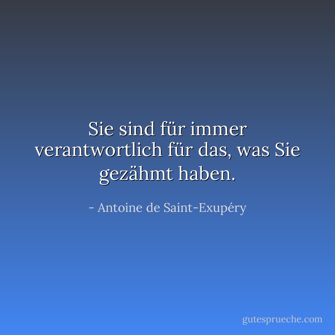 Sie sind für immer verantwortlich für das, was Sie gezähmt haben. - Antoine de Saint-Exupéry<