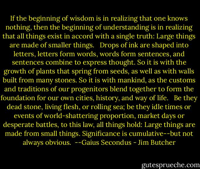 If the beginning of wisdom is in realizing that one knows nothing, then the beginning of understanding is in realizing that all things exist in accord with a single truth: Large things are made of smaller things. <br /><br />Drops of ink are shaped into letters, letters form words, words form sentences, and sentences combine to express thought. So it is with the growth of plants that spring from seeds, as well as with walls built from many stones. So it is with mankind, as the customs and traditions of our progenitors blend together to form the foundation for our own cities, history, and way of life. <br /><br />Be they dead stone, living flesh, or rolling sea; be they idle times or events of world-shattering proportion, market days or desperate battles, to this law, all things hold: Large things are made from small things. Significance is cumulative--but not always obvious. <br />--Gaius Secondus - Jim Butcher