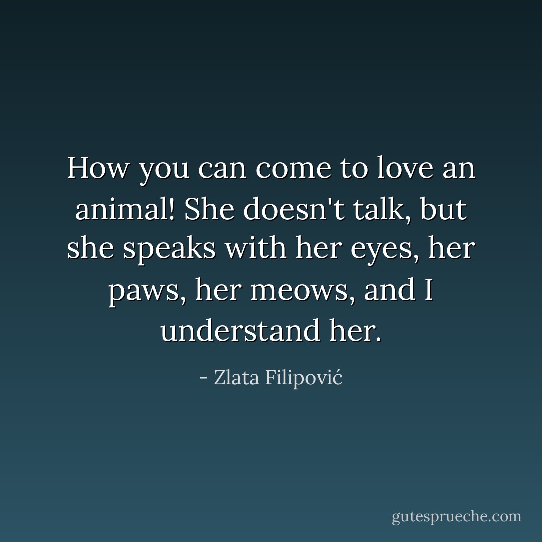 How you can come to love an animal! She doesn't talk, but she speaks with her eyes, her paws, her meows, and I understand her. - Zlata Filipović