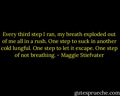 Every third step I ran, my breath exploded out of me all in a rush. One step to suck in another cold lungful. One step to let it excape. One step of not breathing. - Maggie Stiefvater