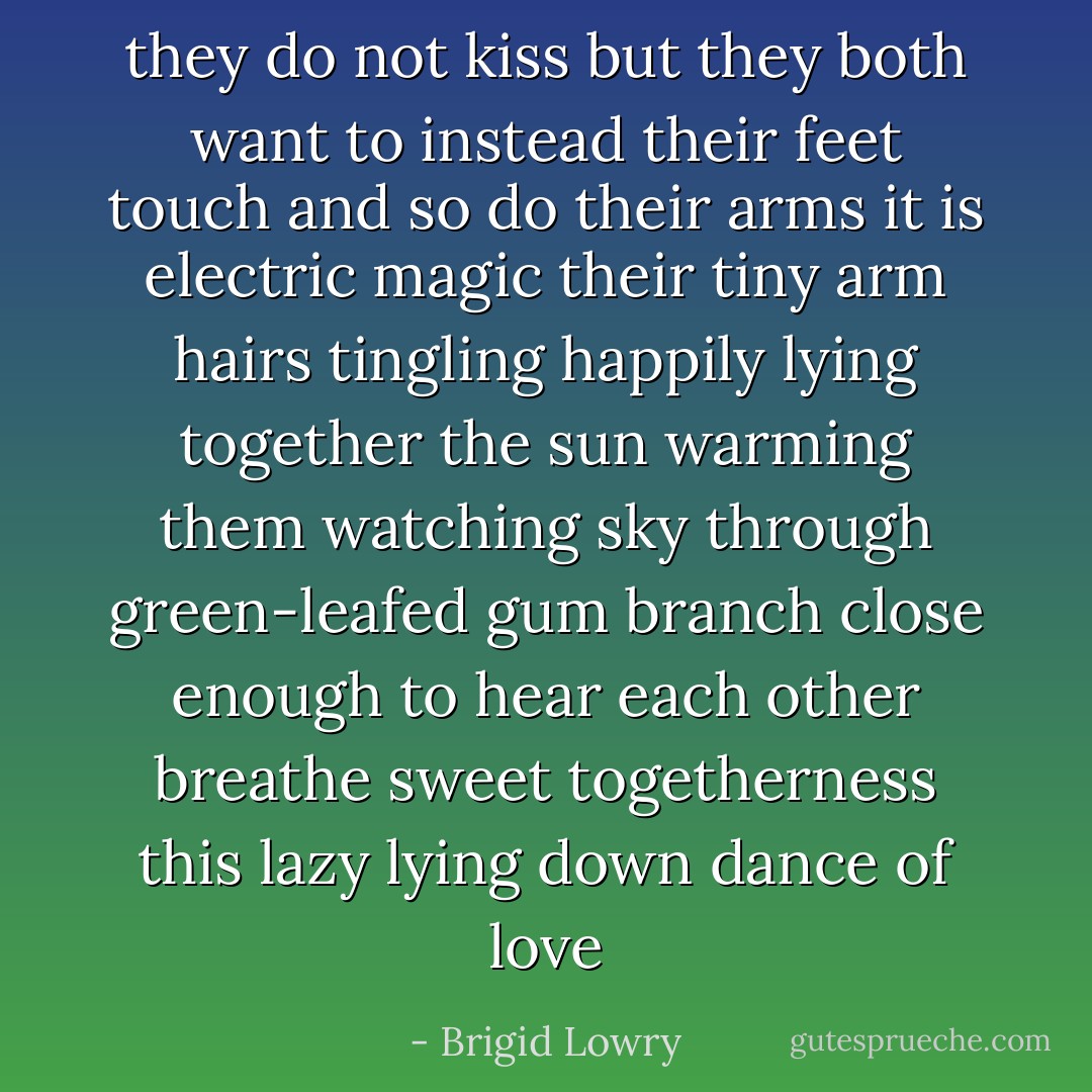 they do not kiss<br />but they both want to<br />instead their feet touch and so do their arms<br />it is electric magic<br />their tiny arm hairs tingling<br />happily lying together<br />the sun warming them<br />watching sky through green-leafed gum branch<br />close enough to hear each other breathe<br />sweet togetherness<br />this lazy lying down dance of love - Brigid Lowry