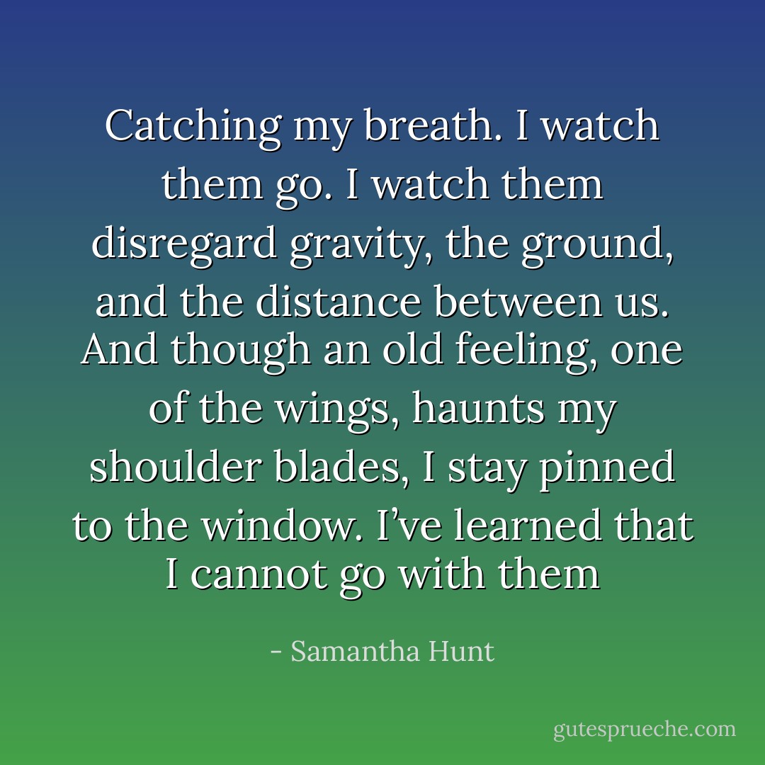 Catching my breath. I watch them go. I watch them disregard gravity, the ground, and the distance between us. And though an old feeling, one of the wings, haunts my shoulder blades, I stay pinned to the window. I’ve learned that I cannot go with them - Samantha Hunt