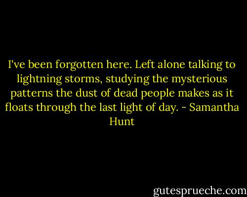 I've been forgotten here. Left alone talking to lightning storms, studying the mysterious patterns the dust of dead people makes as it floats through the last light of day. - Samantha Hunt