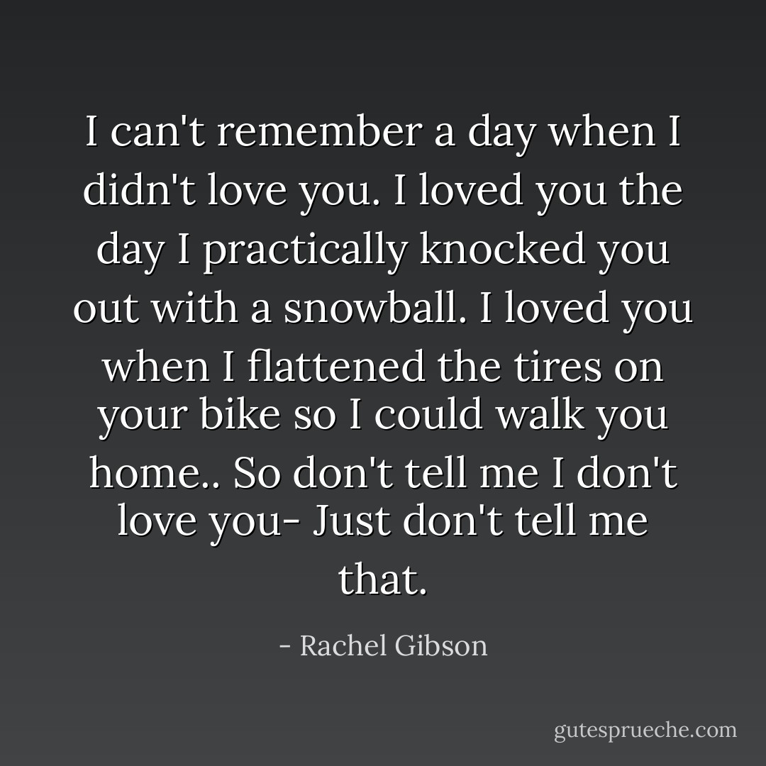 I can't remember a day when I didn't love you. I loved you the day I practically knocked you out with a snowball. I loved you when I flattened the tires on your bike so I could walk you home.. So don't tell me I don't love you- Just don't tell me that. - Rachel Gibson