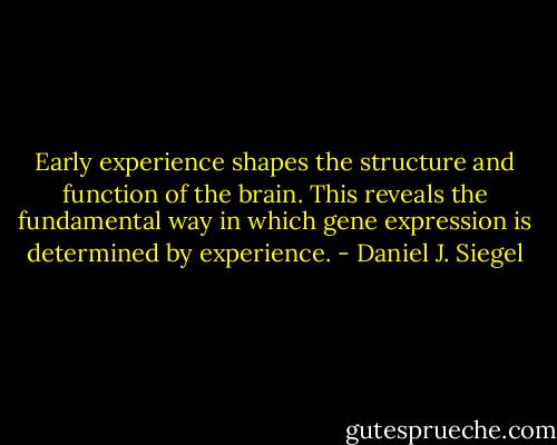 Early experience shapes the structure and function of the brain. This reveals the fundamental way in which gene expression is determined by experience. - Daniel J. Siegel