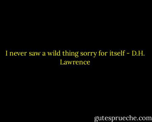 I never saw a wild thing sorry for itself - D.H. Lawrence
