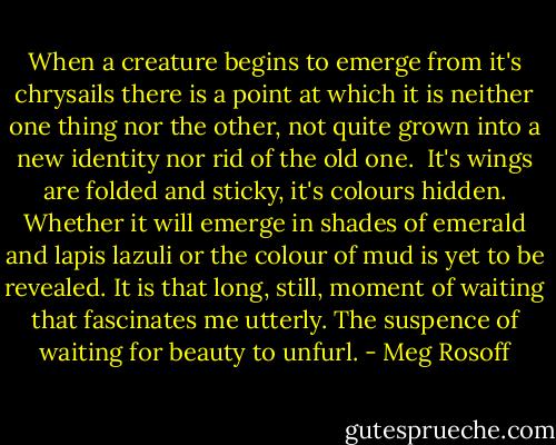 When a creature begins to emerge from it's chrysails there is a point at which it is neither one thing nor the other, not quite grown into a new identity nor rid of the old one. <br />It's wings are folded and sticky, it's colours hidden. Whether it will emerge in shades of emerald and lapis lazuli or the colour of mud is yet to be revealed.<br />It is that long, still, moment of waiting that fascinates me utterly. The suspence of waiting for beauty to unfurl. - Meg Rosoff