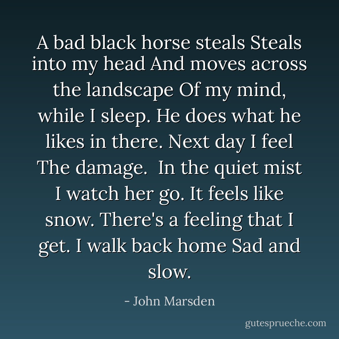 A bad black horse steals<br />Steals into my head<br />And moves across the landscape<br />Of my mind, while I sleep.<br />He does what he likes in there.<br />Next day I feel<br />The damage.<br /><br />In the quiet mist<br />I watch her go.<br />It feels like snow.<br />There's a feeling that I get.<br />I walk back home<br />Sad and slow. - John Marsden